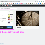 Default 2023 theme active on all sites.png