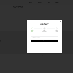 popup form in English on the Elementor.png