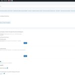 WPML-language-settings.jpg