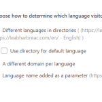Language-URL-Format.png