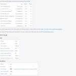 wpml system status.png
