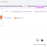 error-jdm-wpml-3.png
