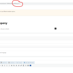 EN example wpml.png