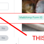 wpml-bug.png