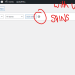 wpml-cwsds-1.png