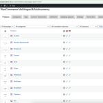 WooCommerce Multilingual & Multicurrency ‹ DutchChems — WordPress 2023-11-03 11-14-03.png