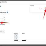 Languages ‹ WPML Testing — WordPress 2023-11-03 14-05-07.png