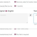 string translation issue.jpg