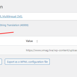 Enable logo URL translation.png