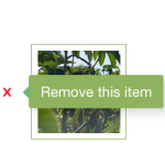 removethisitem.png