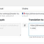 Traduction_de_chaînes_‹_Dimension_Transport_inc__—_WordPress.jpg