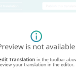 from wpml_menu-no preview and not available to see_2.PNG
