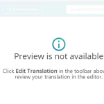 from wpml_woocmmerce menu-no preview and not available to see.PNG