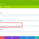 WPML Staging Site - Divi Blurb Module Link URL Field.png