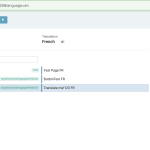 Advanced Translation Editor - WPML [Staging] 2023-11-14 08-40-47.png