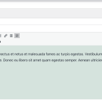 Edit product “Belt” ‹ WPML Testing — WordPress 2023-11-14 09-28-21.png