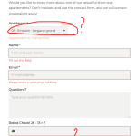 wp bakery form.png