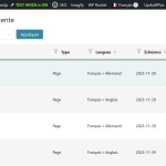 Screenshot 2023-11-23 at 11-04-51 Traductions ‹ Vertical Expense™ — WordPress.png