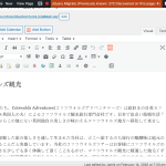 japanese version.png