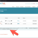 wpml-automatic-translation-tab-instructions.png