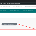 wpml-support ticket.png