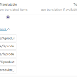 wpml_translation.PNG