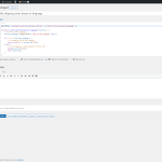 Screenshot 2023-12-06 at 14-02-15 Edit Snippet ‹ Noke — WordPress.png