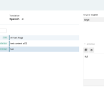 Advanced Translation Editor - WPML [Staging] 2023-12-07 09-06-59.png