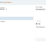 Advanced Translation Editor - WPML [Staging] 2023-12-08 09-24-07.png