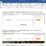 Language selector issue.png