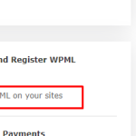 register wpml.png