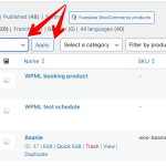 Products ‹ WPML Testing — WordPress 2023-12-19 11-06-29.png