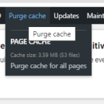 purge cache.png