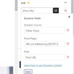 dynamic url.jpg