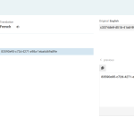 GHTV translation editor Hubspot Form.png