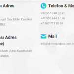 contact page section.png