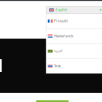 language switcher space.png