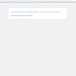 wpml-support-web3.png