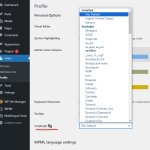 wp-dashboard-language.png