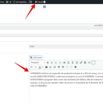 Edit Post “2023” ‹ Atermes — WordPress 2024-01-10 09-40-10.png
