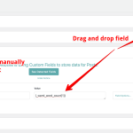 New Import ‹ WPML Testing — WordPress 2024-01-10 10-58-54.png