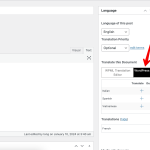 Edit Post “Test new post” ‹ WPML Testing — WordPress 2024-01-12 09-26-58.png