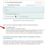 Automatic Translation for WordPress Sites with WPML 2024-01-14 17-23-44.png