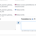 stripe string  translation not working2.png