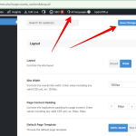 Global Options ‹ EngFlexy — WordPress 2024-01-18 09-57-00.png