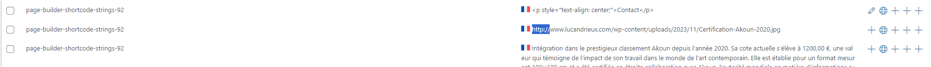 8. Traduction de chaînes ‹ Luc Andrieux Artiste Peintre — WordPress - Google Chrome.png