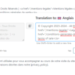 9. Traduction de chaînes ‹ Luc Andrieux Artiste Peintre — WordPress - Google Chrome_4.png