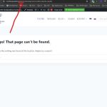 wpml-problem.jpg