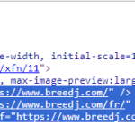 hreflang viewsource.PNG