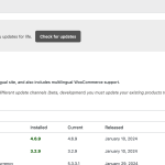 wpml_update_check.png